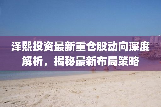 澤熙投資最新重倉股動向深度解析，揭秘最新布局策略