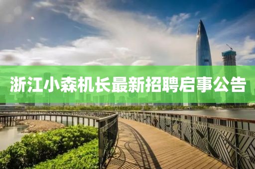 浙江小森機長最新招聘啟事公告