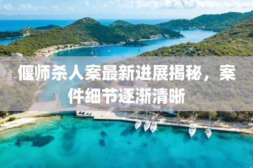 偃師殺人案最新進展揭秘，案件細節(jié)逐漸清晰