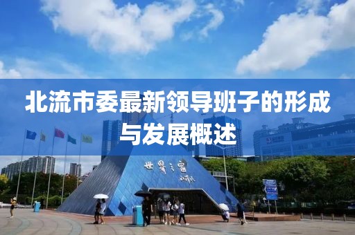 北流市委最新領(lǐng)導(dǎo)班子的形成與發(fā)展概述