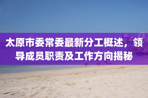 太原市委常委最新分工概述，領導成員職責及工作方向揭秘