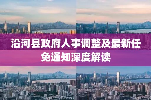 沿河縣政府人事調(diào)整及最新任免通知深度解讀