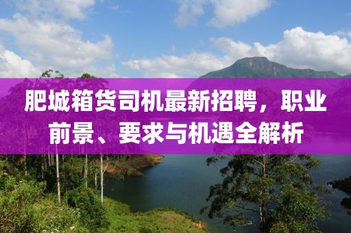 肥城箱貨司機(jī)最新招聘，職業(yè)前景、要求與機(jī)遇全解析
