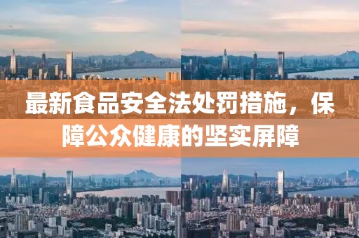 最新食品安全法處罰措施，保障公眾健康的堅(jiān)實(shí)屏障