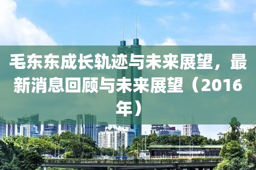 毛東東成長(zhǎng)軌跡與未來(lái)展望，最新消息回顧與未來(lái)展望（2016年）