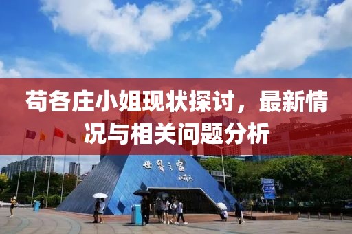 茍各莊小姐現(xiàn)狀探討，最新情況與相關(guān)問(wèn)題分析