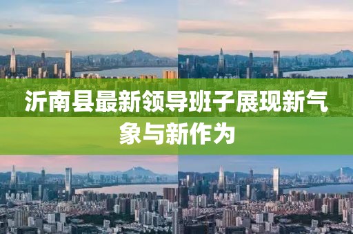 沂南縣最新領(lǐng)導(dǎo)班子展現(xiàn)新氣象與新作為