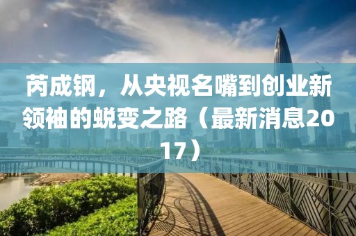 芮成鋼，從央視名嘴到創(chuàng)業(yè)新領(lǐng)袖的蛻變之路（最新消息2017）