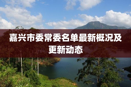 嘉興市委常委名單最新概況及更新動態(tài)