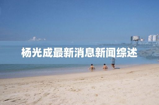 楊光成最新消息新聞綜述