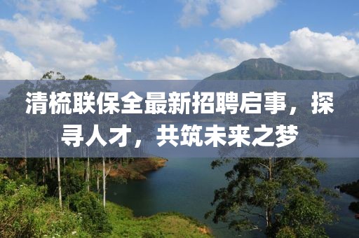 清梳聯(lián)保全最新招聘啟事，探尋人才，共筑未來之夢