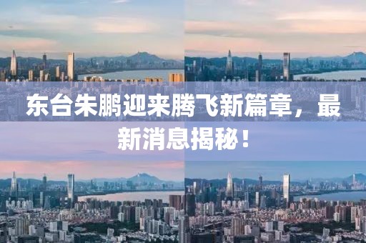 東臺(tái)朱鵬迎來(lái)騰飛新篇章，最新消息揭秘！