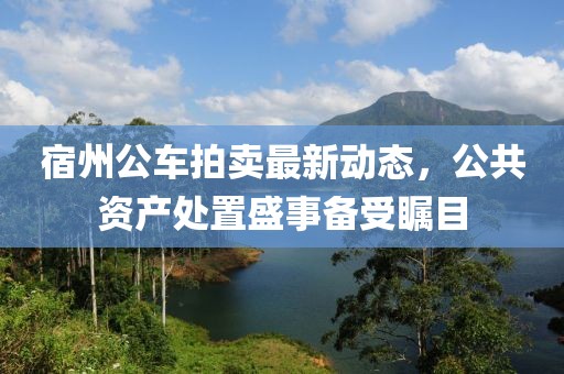 宿州公車拍賣最新動態(tài)，公共資產(chǎn)處置盛事備受矚目