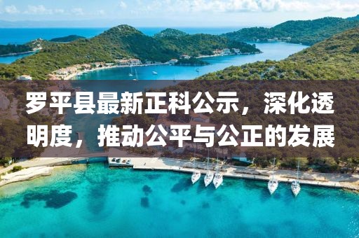 羅平縣最新正科公示，深化透明度，推動(dòng)公平與公正的發(fā)展