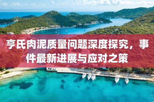 亨氏肉泥質(zhì)量問(wèn)題深度探究，事件最新進(jìn)展與應(yīng)對(duì)之策
