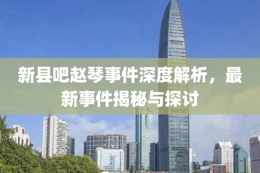 新縣吧趙琴事件深度解析，最新事件揭秘與探討