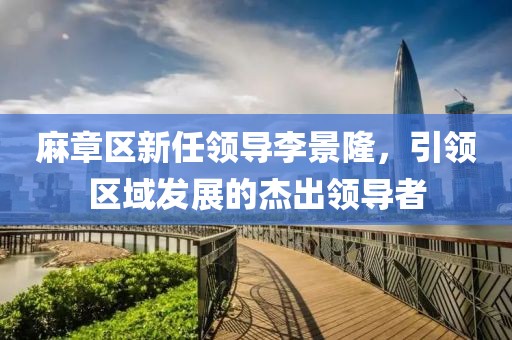 麻章區(qū)新任領(lǐng)導(dǎo)李景隆，引領(lǐng)區(qū)域發(fā)展的杰出領(lǐng)導(dǎo)者