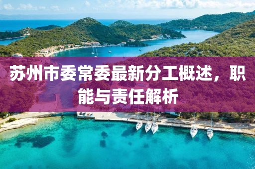 蘇州市委常委最新分工概述，職能與責任解析