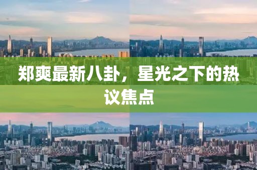 鄭爽最新八卦，星光之下的熱議焦點