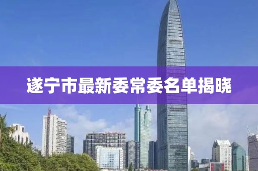 遂寧市最新委常委名單揭曉