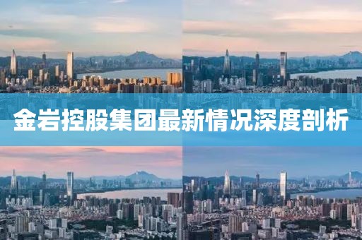 金巖控股集團(tuán)最新情況深度剖析