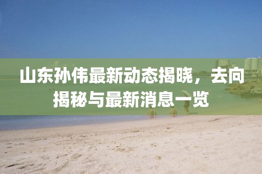 山東孫偉最新動(dòng)態(tài)揭曉，去向揭秘與最新消息一覽