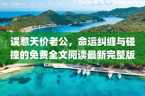 誤惹天價(jià)老公，命運(yùn)糾纏與碰撞的免費(fèi)全文閱讀最新完整版