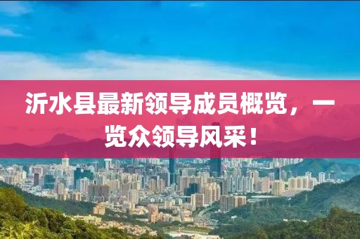 沂水縣最新領(lǐng)導(dǎo)成員概覽，一覽眾領(lǐng)導(dǎo)風(fēng)采！