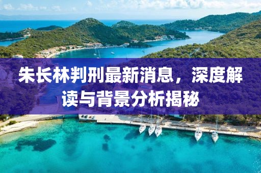 朱長(zhǎng)林判刑最新消息，深度解讀與背景分析揭秘