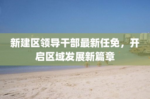 新建區(qū)領(lǐng)導(dǎo)干部最新任免，開啟區(qū)域發(fā)展新篇章