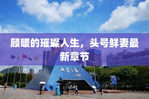 顧暖的璀璨人生，頭號鮮妻最新章節(jié)