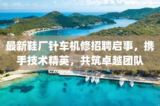 最新鞋廠針車機(jī)修招聘啟事，攜手技術(shù)精英，共筑卓越團(tuán)隊(duì)