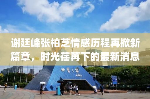 謝廷峰張柏芝情感歷程再掀新篇章，時(shí)光荏苒下的最新消息