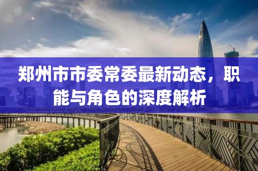 鄭州市市委常委最新動(dòng)態(tài)，職能與角色的深度解析