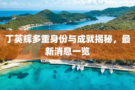丁英輝多重身份與成就揭秘，最新消息一覽