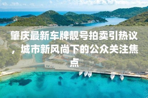 肇慶最新車牌靚號拍賣引熱議，城市新風(fēng)尚下的公眾關(guān)注焦點(diǎn)
