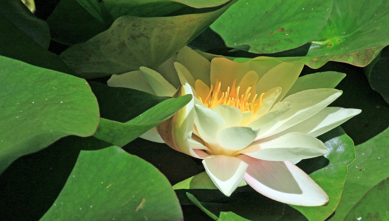 江門瓏湖灣未來(lái)繁華啟幕，最新動(dòng)態(tài)揭示未來(lái)發(fā)展新篇章
