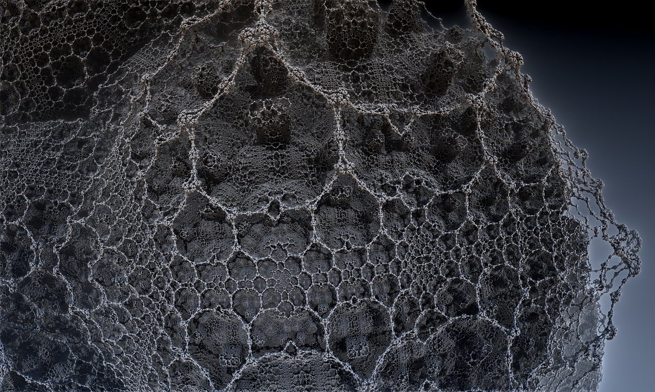遼寧隋顯利最新動(dòng)態(tài)，傳奇人物的嶄新篇章