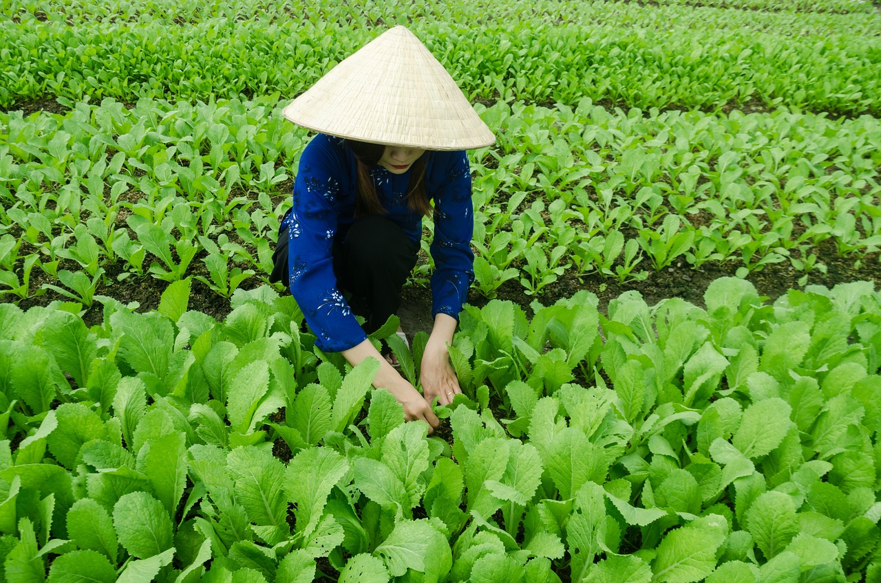 甬金鐵路最新動(dòng)態(tài)，嵊州發(fā)展與鐵路聯(lián)動(dòng)推進(jìn)