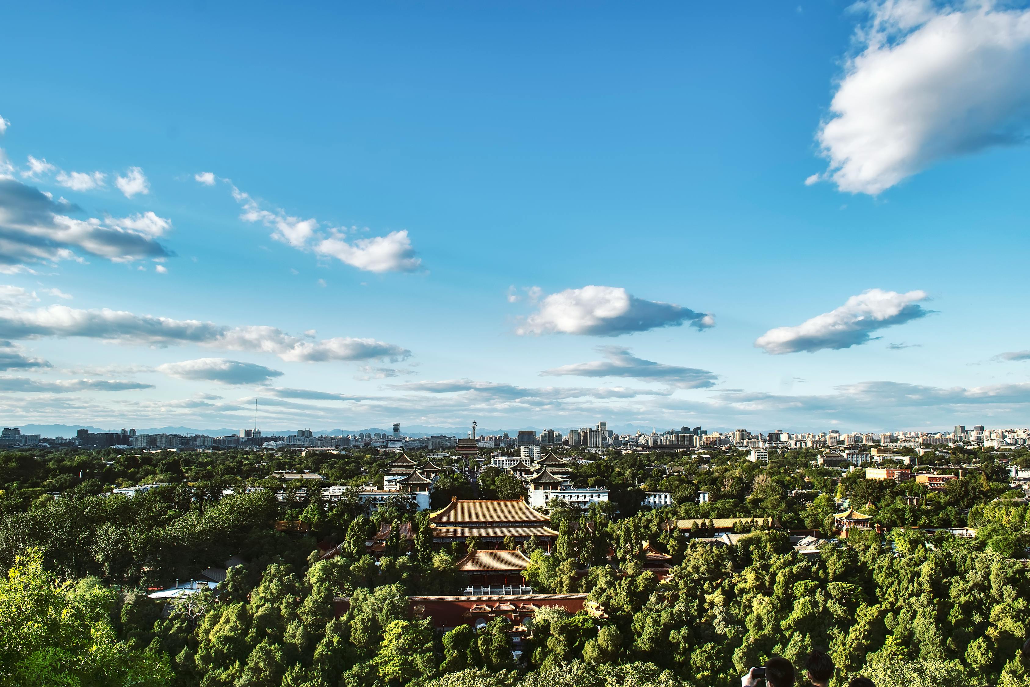 長(zhǎng)沙洞井路最新動(dòng)態(tài)，城市發(fā)展與民生改善同步前行