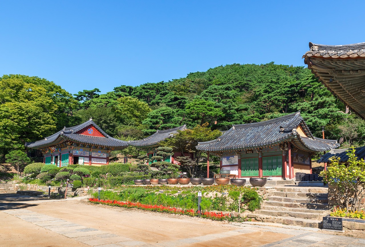 廣饒四季花城，繁榮盛景與未來(lái)期待揭秘
