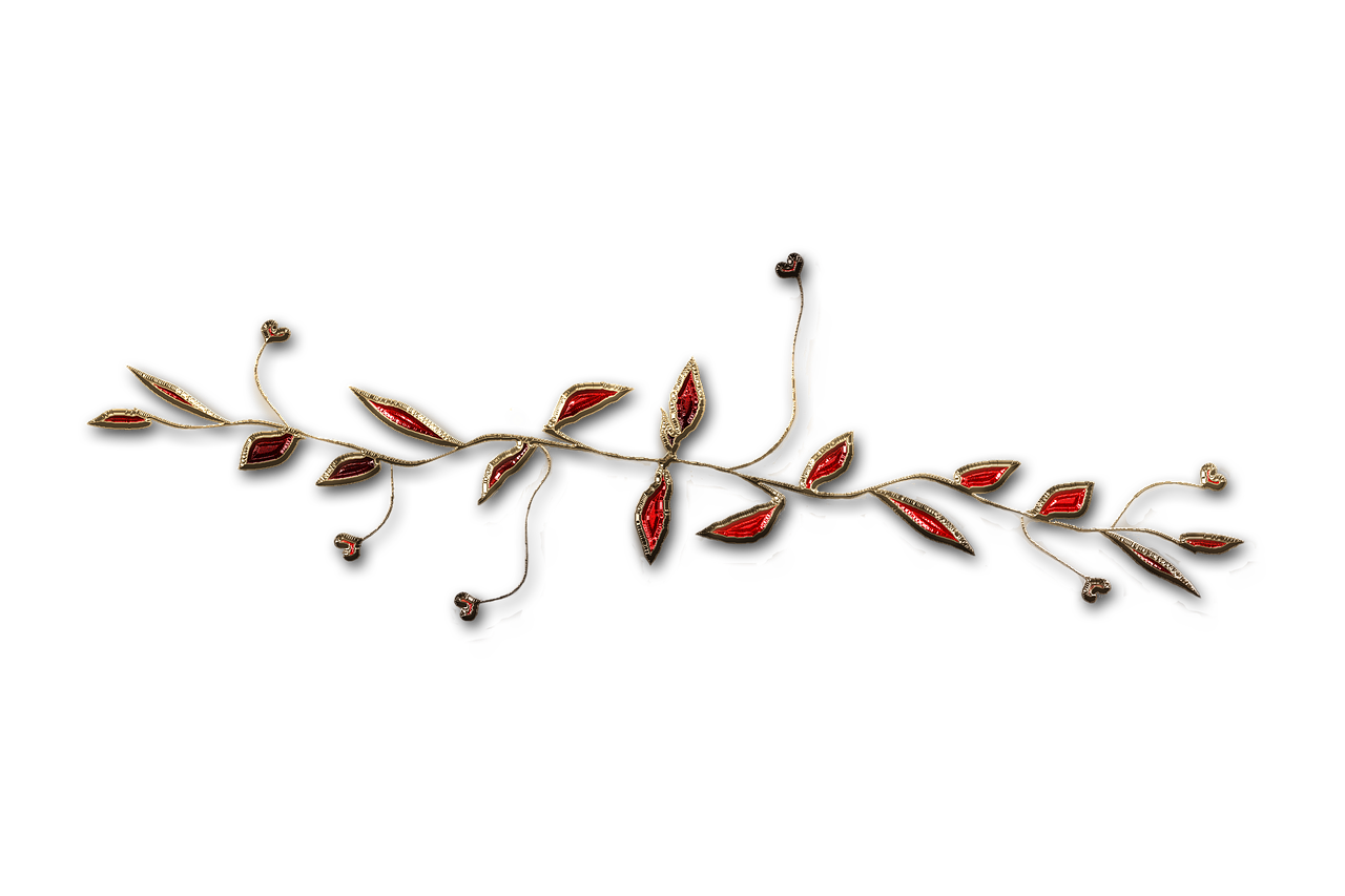 廣西大紅八角產(chǎn)業(yè)蓬勃發(fā)展，前景廣闊，最新消息與動態(tài)