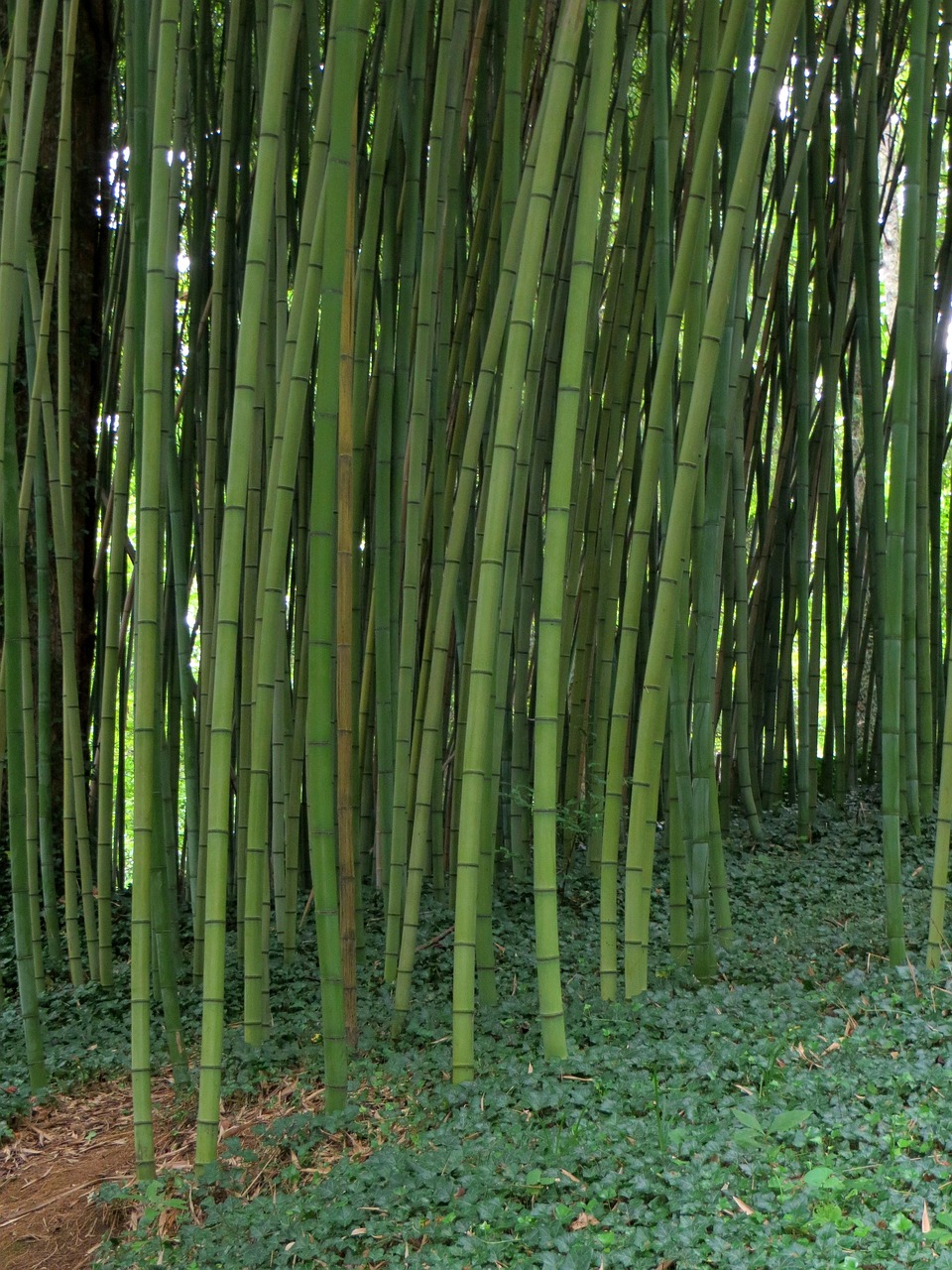 溫州全力備戰(zhàn)臺風(fēng)，溫州臺風(fēng)動態(tài)報(bào)告及應(yīng)對臺風(fēng)災(zāi)害的最新消息（2017年）
