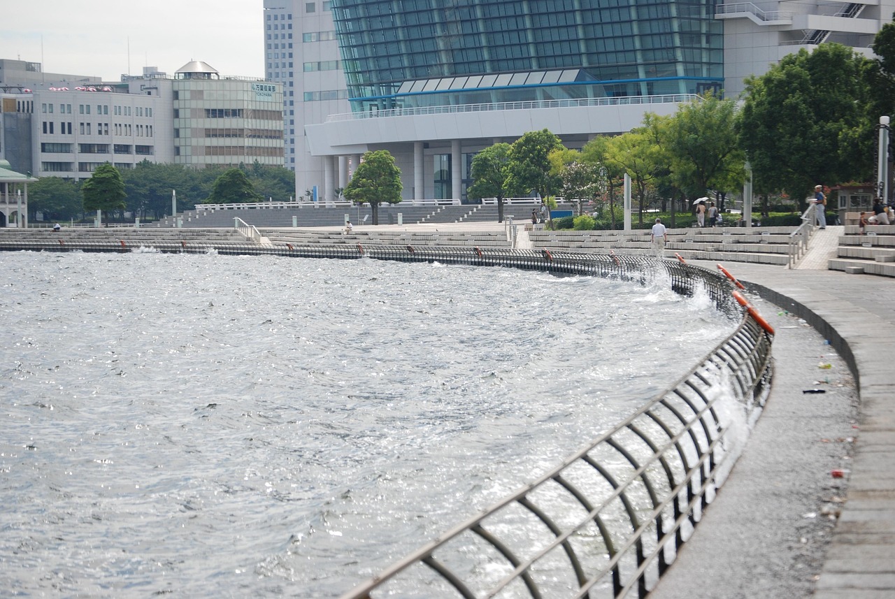 鄭州海昌海洋公園最新動(dòng)態(tài)揭秘，揭開神秘面紗，展現(xiàn)海洋魅力奇觀