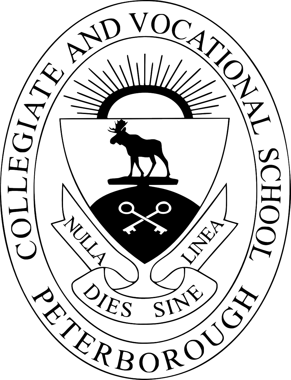共青城大學(xué)城蓬勃發(fā)展，教育新篇章的最新消息